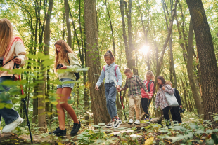 Enfants à la recherche d'indices dans une forêt